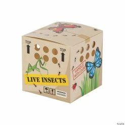 Brand new 🛒 Backyard Adventure Favor Boxes - 12 Pc. 🛒