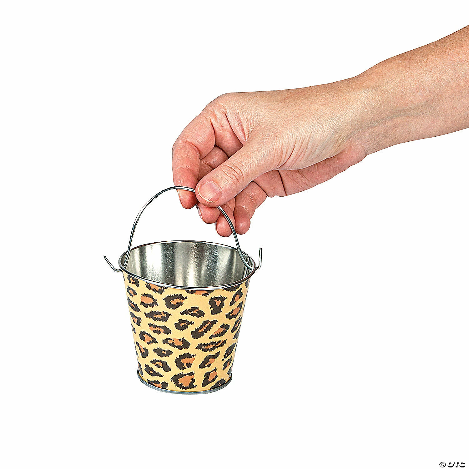 Flash Sale π Mini Paradise Safari Favor Pails - 12 Pc. β - Image 2